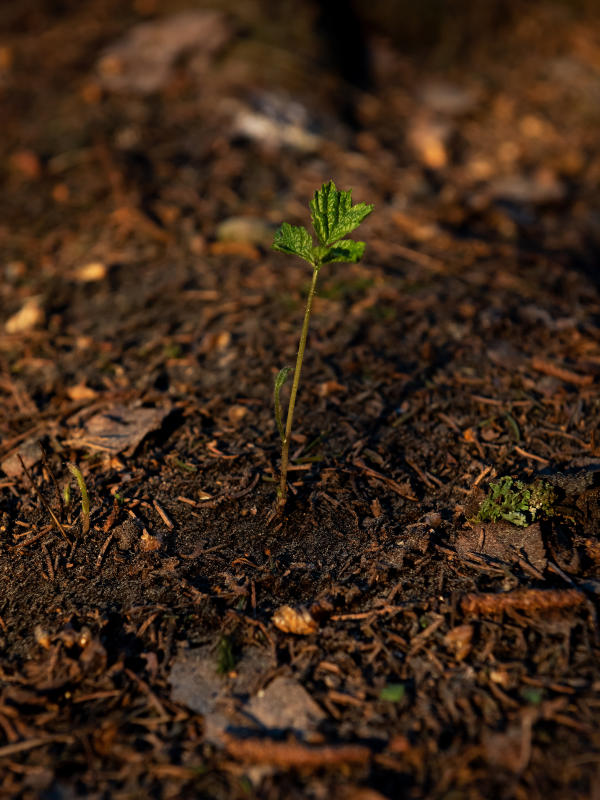 Revion-kuntoutuksen työkirja asiakkaille
