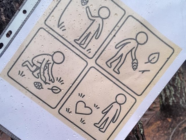 Tampereen ammattikorkeakoulun Metsäolympialaiset Pirkanmaan yksikölle