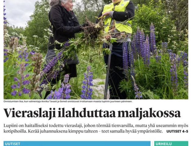 Autismisäätiön asiakkaat tärkeän asian äärellä eli kitkemässä vieraslajeja!
