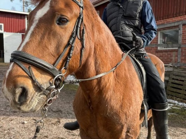 Photos from Autismisäätiö's post