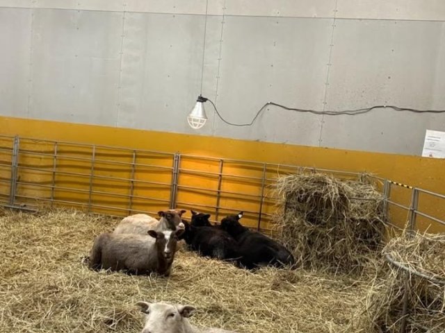 Photos from Autismisäätiö's post