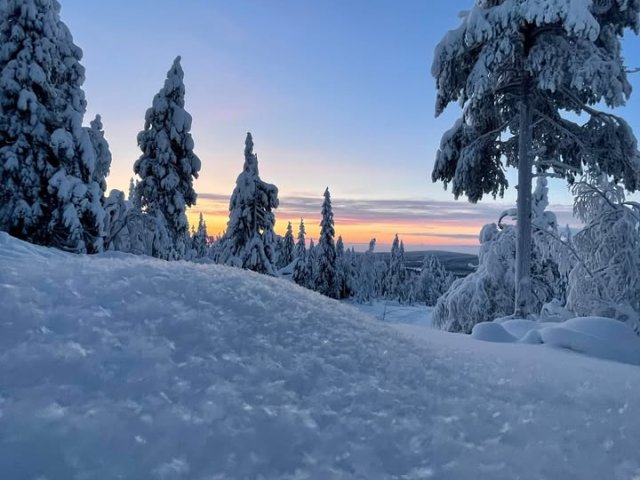 Hyvää itsenäisyyspäivää kaikille 🇫🇮